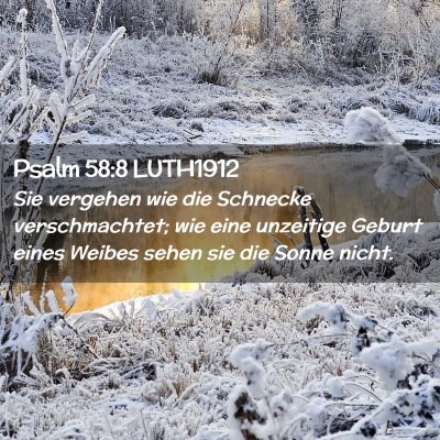 Picture 02 - Psalm 58:8 LUTH1912 - Sie vergehen wie die Schnecke verschmachtet; wie - Bible Verse Picture