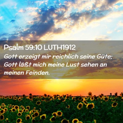 Picture 02 - Psalm 59:10 LUTH1912 - Gott erzeigt mir reichlich seine Güte; Gott - Bible Verse Picture