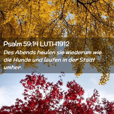 Picture 02 - Psalm 59:14 LUTH1912 - Des Abends heulen sie wiederum wie die Hunde und - Bible Verse Picture