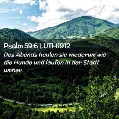 Picture 02 - Psalm 59:6 LUTH1912 - Des Abends heulen sie wiederum wie die Hunde und - Bible Verse Picture