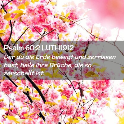 Picture 02 - Psalm 60:2 LUTH1912 - Der du die Erde bewegt und zerrissen hast, heile - Bible Verse Picture