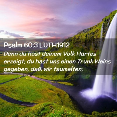 Picture 02 - Psalm 60:3 LUTH1912 - Denn du hast deinem Volk Hartes erzeigt; du hast - Bible Verse Picture