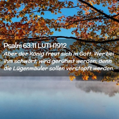 Picture 02 - Psalm 63:11 LUTH1912 - Aber der König freut sich in Gott. Wer bei ihm - Bible Verse Picture