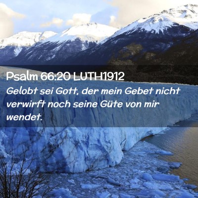 Picture 02 - Psalm 66:20 LUTH1912 - Gelobt sei Gott, der mein Gebet nicht verwirft - Bible Verse Picture