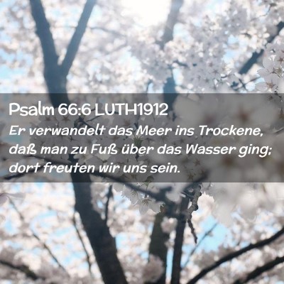 Picture 02 - Psalm 66:6 LUTH1912 - Er verwandelt das Meer ins Trockene, daß man zu - Bible Verse Picture
