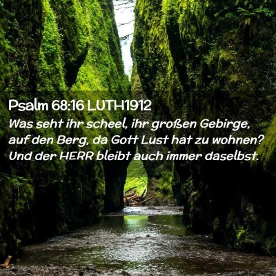 Picture 02 - Psalm 68:16 LUTH1912 - Was seht ihr scheel, ihr großen Gebirge, auf den - Bible Verse Picture