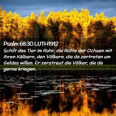 Picture 02 - Psalm 68:30 LUTH1912 - Schilt das Tier im Rohr, die Rotte der Ochsen mit - Bible Verse Picture