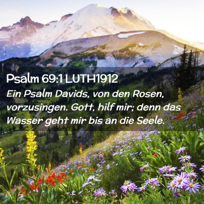 Picture 02 - Psalm 69:1 LUTH1912 - Ein Psalm Davids, von den Rosen, vorzusingen. - Bible Verse Picture