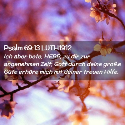 Picture 02 - Psalm 69:13 LUTH1912 - Ich aber bete, HERR, zu dir zur angenehmen Zeit; - Bible Verse Picture