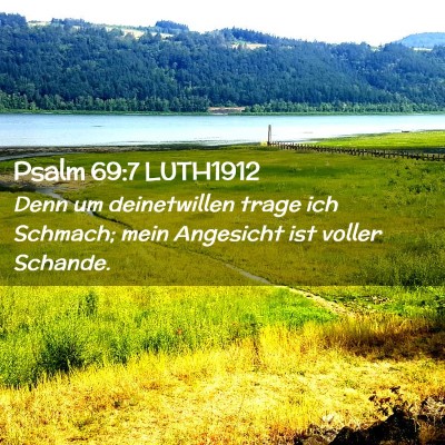 Picture 02 - Psalm 69:7 LUTH1912 - Denn um deinetwillen trage ich Schmach; mein - Bible Verse Picture