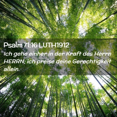 Picture 02 - Psalm 71:16 LUTH1912 - Ich gehe einher in der Kraft des Herrn HERRN; ich - Bible Verse Picture