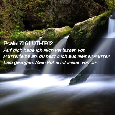 Picture 02 - Psalm 71:6 LUTH1912 - Auf dich habe ich mich verlassen von Mutterleibe - Bible Verse Picture