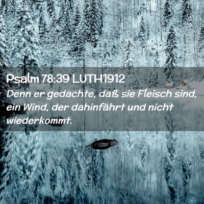 Picture 02 - Psalm 78:39 LUTH1912 - Denn er gedachte, daß sie Fleisch sind, ein - Bible Verse Picture
