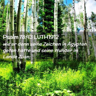 Picture 02 - Psalm 78:43 LUTH1912 - wie er denn seine Zeichen in Ägypten getan hatte - Bible Verse Picture