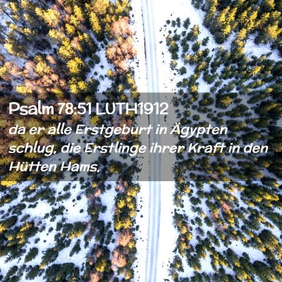 Picture 02 - Psalm 78:51 LUTH1912 - da er alle Erstgeburt in Ägypten schlug, die - Bible Verse Picture