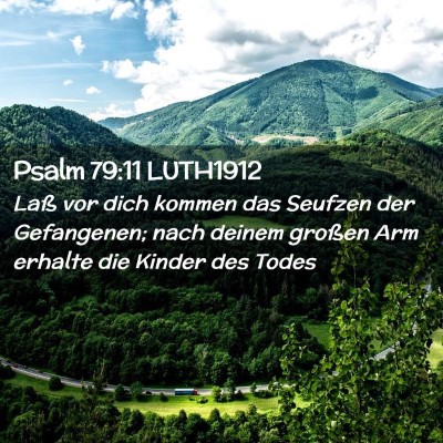 Picture 02 - Psalm 79:11 LUTH1912 - Laß vor dich kommen das Seufzen der Gefangenen; - Bible Verse Picture