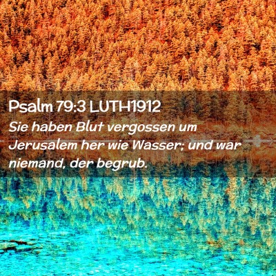 Picture 02 - Psalm 79:3 LUTH1912 - Sie haben Blut vergossen um Jerusalem her wie - Bible Verse Picture