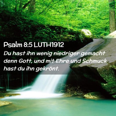 Picture 02 - Psalm 8:5 LUTH1912 - Du hast ihn wenig niedriger gemacht denn Gott, - Bible Verse Picture