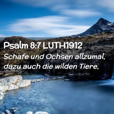 Picture 02 - Psalm 8:7 LUTH1912 - Schafe und Ochsen allzumal, dazu auch die wilden - Bible Verse Picture