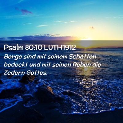 Picture 02 - Psalm 80:10 LUTH1912 - Berge sind mit seinem Schatten bedeckt und mit - Bible Verse Picture