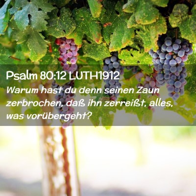 Picture 02 - Psalm 80:12 LUTH1912 - Warum hast du denn seinen Zaun zerbrochen, daß - Bible Verse Picture