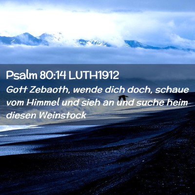 Picture 02 - Psalm 80:14 LUTH1912 - Gott Zebaoth, wende dich doch, schaue vom Himmel - Bible Verse Picture