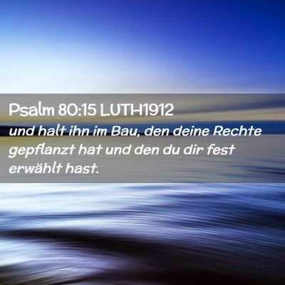 Picture 02 - Psalm 80:15 LUTH1912 - und halt ihn im Bau, den deine Rechte gepflanzt - Bible Verse Picture