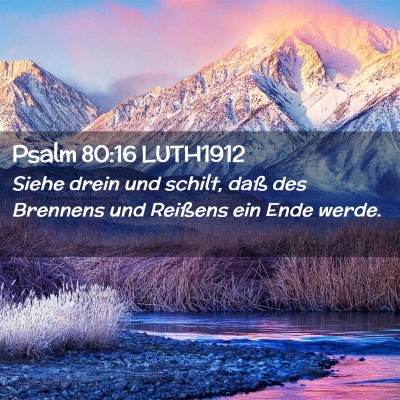 Picture 02 - Psalm 80:16 LUTH1912 - Siehe drein und schilt, daß des Brennens und - Bible Verse Picture