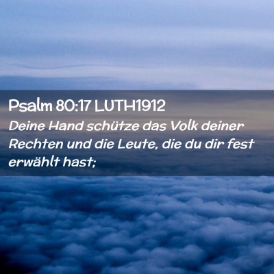 Picture 02 - Psalm 80:17 LUTH1912 - Deine Hand schütze das Volk deiner Rechten und - Bible Verse Picture