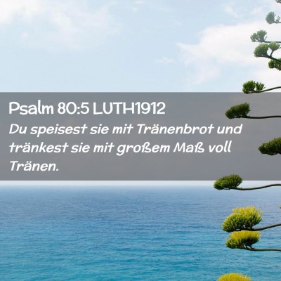 Picture 02 - Psalm 80:5 LUTH1912 - Du speisest sie mit Tränenbrot und tränkest sie - Bible Verse Picture