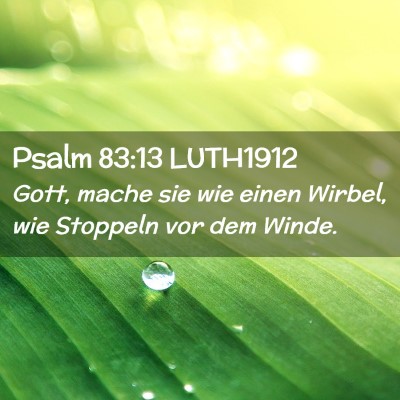 Picture 02 - Psalm 83:13 LUTH1912 - Gott, mache sie wie einen Wirbel, wie Stoppeln - Bible Verse Picture