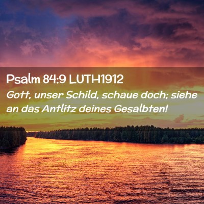 Picture 02 - Psalm 84:9 LUTH1912 - Gott, unser Schild, schaue doch; siehe an das - Bible Verse Picture