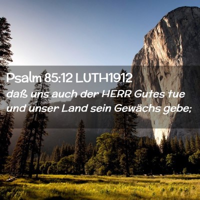 Picture 02 - Psalm 85:12 LUTH1912 - daß uns auch der HERR Gutes tue und unser Land - Bible Verse Picture