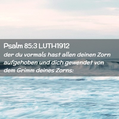 Picture 02 - Psalm 85:3 LUTH1912 - der du vormals hast allen deinen Zorn aufgehoben - Bible Verse Picture