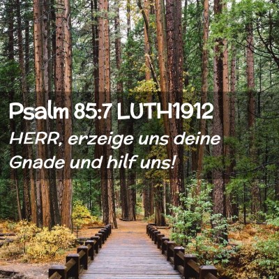 Picture 02 - Psalm 85:7 LUTH1912 - HERR, erzeige uns deine Gnade und hilf - Bible Verse Picture