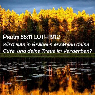 Picture 02 - Psalm 88:11 LUTH1912 - Wird man in Gräbern erzählen deine Güte, und - Bible Verse Picture