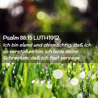 Picture 02 - Psalm 88:15 LUTH1912 - Ich bin elend und ohnmächtig, daß ich so - Bible Verse Picture