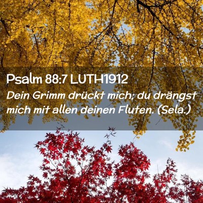 Picture 02 - Psalm 88:7 LUTH1912 - Dein Grimm drückt mich; du drängst mich mit - Bible Verse Picture