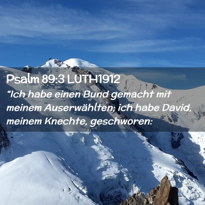 Picture 02 - Psalm 89:3 LUTH1912 - “Ich habe einen Bund gemacht mit meinem - Bible Verse Picture