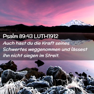Picture 02 - Psalm 89:43 LUTH1912 - Auch hast du die Kraft seines Schwertes - Bible Verse Picture