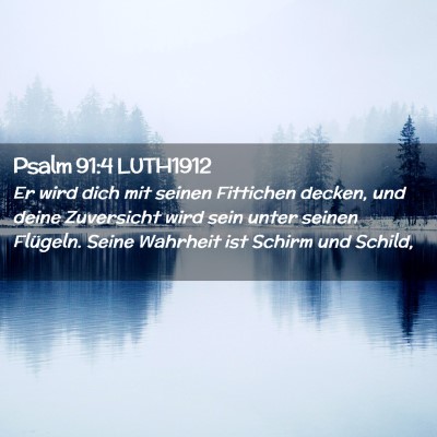 Picture 02 - Psalm 91:4 LUTH1912 - Er wird dich mit seinen Fittichen decken, und - Bible Verse Picture