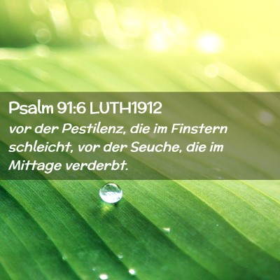 Picture 02 - Psalm 91:6 LUTH1912 - vor der Pestilenz, die im Finstern schleicht, vor - Bible Verse Picture