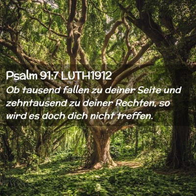 Picture 02 - Psalm 91:7 LUTH1912 - Ob tausend fallen zu deiner Seite und zehntausend - Bible Verse Picture