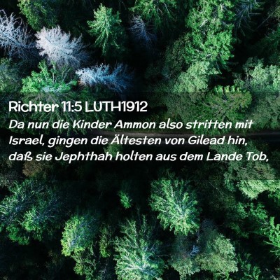 Picture 02 - Richter 11:5 LUTH1912 - Da nun die Kinder Ammon also stritten mit Israel, - Bible Verse Picture