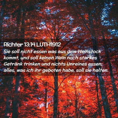 Picture 02 - Richter 13:14 LUTH1912 - Sie soll nicht essen was aus dem Weinstock kommt, - Bible Verse Picture