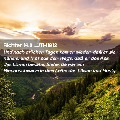 Picture 02 - Richter 14:8 LUTH1912 - Und nach etlichen Tagen kam er wieder, daß er - Bible Verse Picture