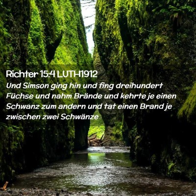 Picture 02 - Richter 15:4 LUTH1912 - Und Simson ging hin und fing dreihundert Füchse - Bible Verse Picture