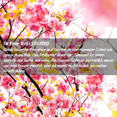 Picture 02 - Richter 16:9 LUTH1912 - (Man lauerte ihm aber auf bei ihr in der Kammer.) - Bible Verse Picture