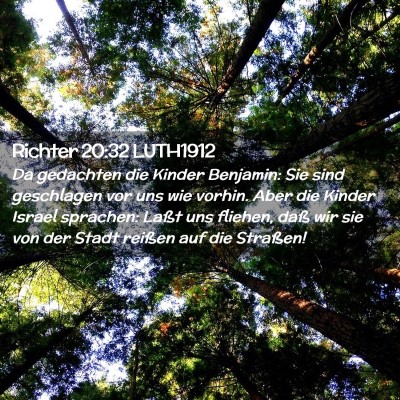 Picture 02 - Richter 20:32 LUTH1912 - Da gedachten die Kinder Benjamin: Sie sind - Bible Verse Picture