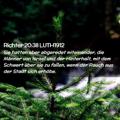 Picture 02 - Richter 20:38 LUTH1912 - Sie hatten aber abgeredet miteinander, die - Bible Verse Picture